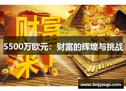 5500万欧元：财富的辉煌与挑战